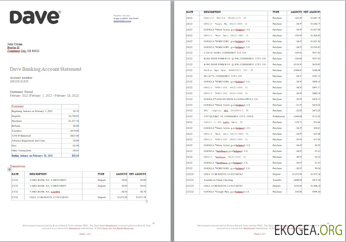 Relevé de compte bancaire USA Dave, modèle Word et PDF, 5 pages